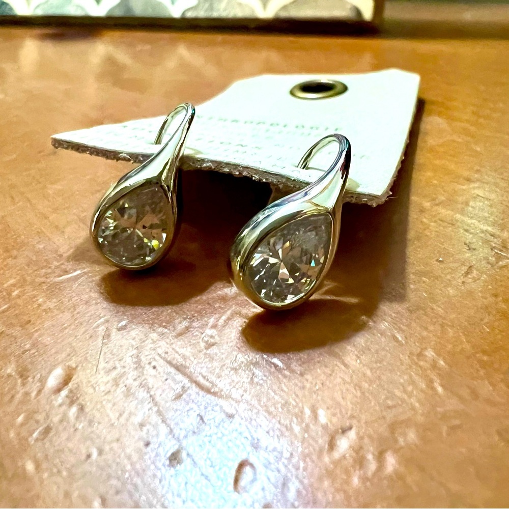 Anthropologie Silver Teardrop Earrings